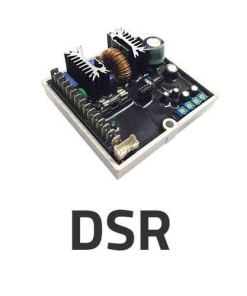 Phụ tùng DSR Mecc Alte